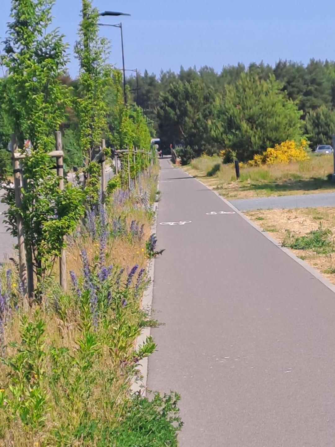 Jastrzebia Marina - Komfortowe Caloroczne